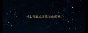 哈士奇肚皮发黑怎么回事