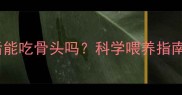 狗狗打完疫苗后能吃骨头吗科学喂养指南与风险禁忌全