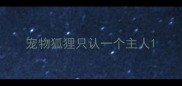宠物狐狸只认一个主人