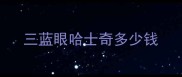 三蓝眼哈士奇多少钱