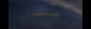 小狗最早几天断奶