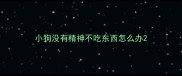 小狗没有精神不吃东西怎么办