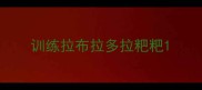 训练拉布拉多拉粑粑