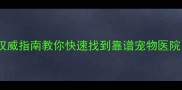狗狗生病怎么办权威指南教你快速找到靠谱宠物医院附就诊全攻略