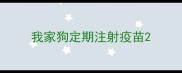 我家狗定期注射疫苗