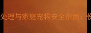 泰迪犬咬伤紧急处理与家庭宠物安全指南伤口护理全流程