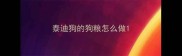 泰迪狗的狗粮怎么做