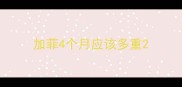 加菲4个月应该多重