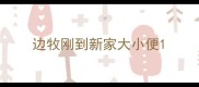 边牧刚到新家大小便