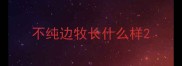 不纯边牧长什么样