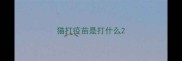 猫打疫苗是打什么