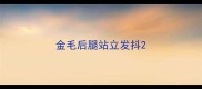 金毛后腿站立发抖