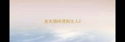 走失猫咪遇到主人