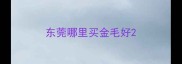 东莞哪里买金毛好