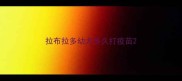 拉布拉多幼犬多久打疫苗