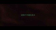 边牧5个月能长多大