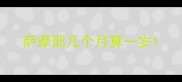 萨摩耶几个月算一岁
