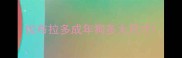 拉布拉多成年狗多大尺寸