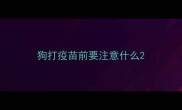 狗打疫苗前要注意什么