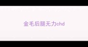 金毛后腿无力chd