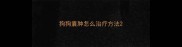 狗狗囊肿怎么治疗方法