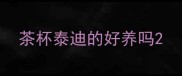 茶杯泰迪的好养吗