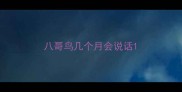 八哥鸟几个月会说话