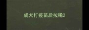 成犬打疫苗后拉稀