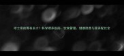 哈士奇的胃有多大科学喂养指南饮食管理健康隐患与营养配比全