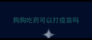 狗狗吃药可以打疫苗吗