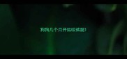 狗狗几个月开始咬裤腿
