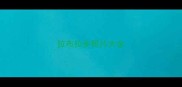 拉布拉多照片大全
