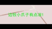边牧小爪子有点凉