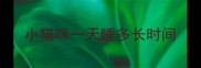 小猫咪一天睡多长时间