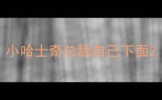 小哈士奇总舔自己下面
