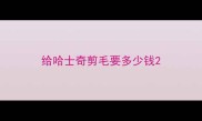 给哈士奇剪毛要多少钱