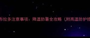 夏天养拉布拉多注意事项降温防暑全攻略附高温防护措施清单