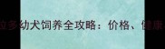 双血统拉布拉多幼犬饲养全攻略价格健康与训练指南