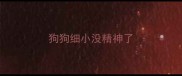 狗狗细小没精神了