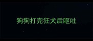 狗狗打完狂犬后呕吐
