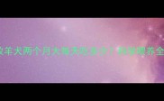 边境牧羊犬两个月大每天吃多少科学喂养全指南