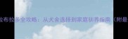 领养世界冠军拉布拉多全攻略从犬舍选择到家庭驯养指南附最新领养流程