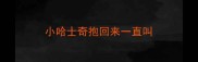 小哈士奇抱回来一直叫