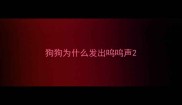 狗狗为什么发出呜呜声