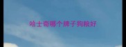 哈士奇哪个牌子狗粮好