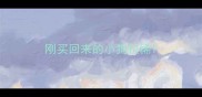 刚买回来的小狗拉稀