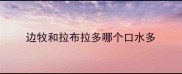 边牧和拉布拉多哪个口水多