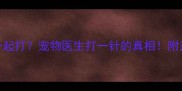 疫苗和驱虫一起打宠物医生打一针的真相附正确驱虫时间表