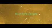 翔大拉布拉多犬舍马克