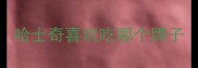 哈士奇喜欢吃哪个牌子